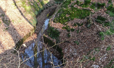 Oorsprong Rozendaalse beek