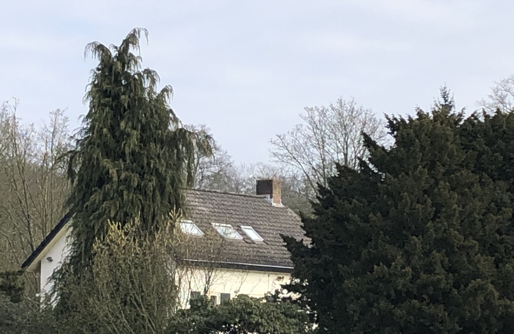 Ringallee 12 bij het kruispunt Rosendaalselaan