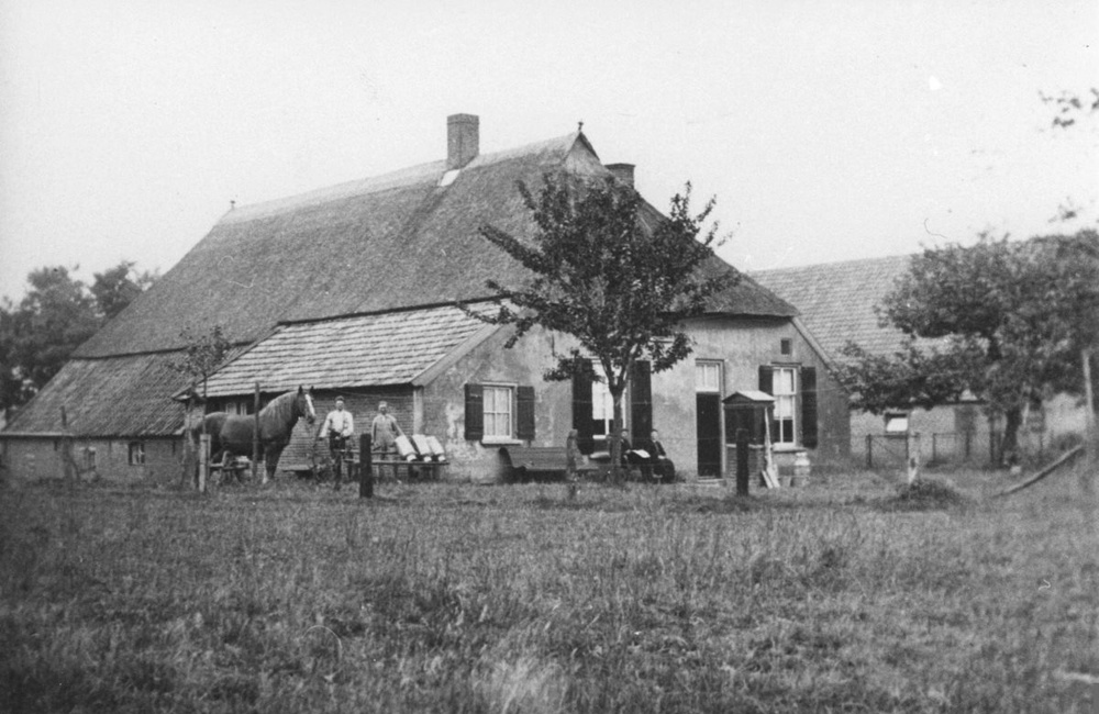 Gronouwe