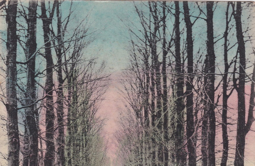 Schuine Laan, toen Krimmeweg - 1904