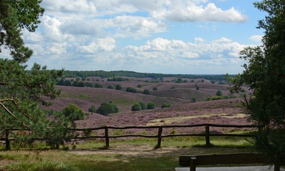 Zijpenberg