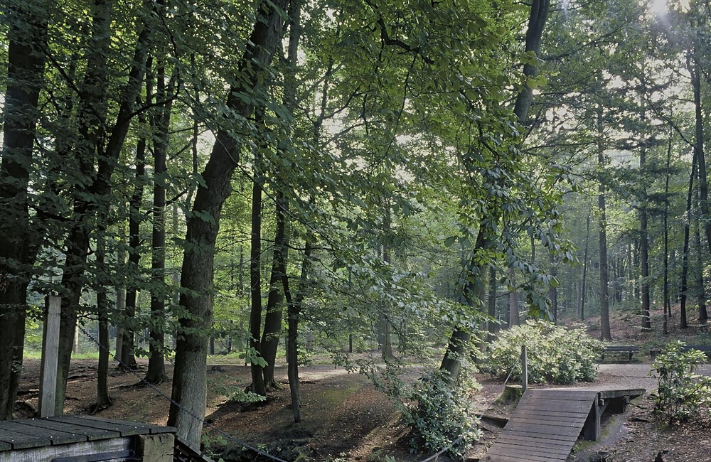 Kasteel Rosendeal: Overzicht van de kettingbrug in het park (2000)