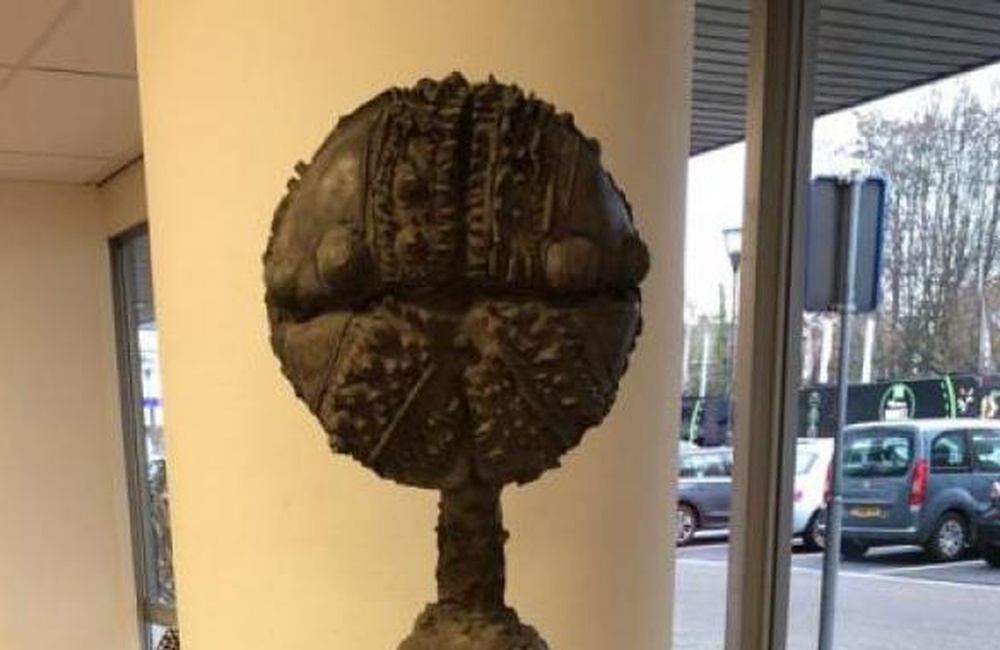 Brein Bibliotheek Velp
