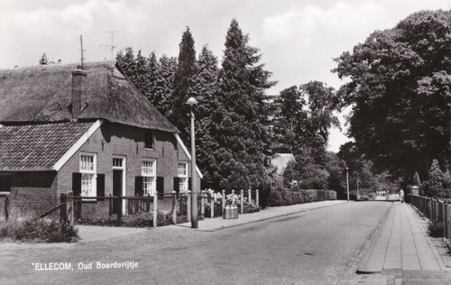 Mevr. Guepin Dronsberg vd Linden wandelend naar huis-1964_JS
