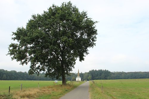 laag-soeren-prisn1-2016_hh