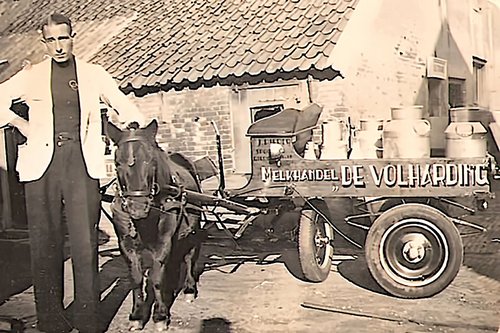 melkhandel de volharding, dieren