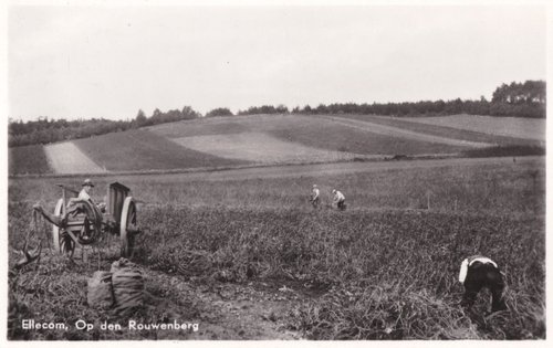 rheden-veluwezoom-rouwenberg-rouw01-1948_jsjpgrouw01-1948_js