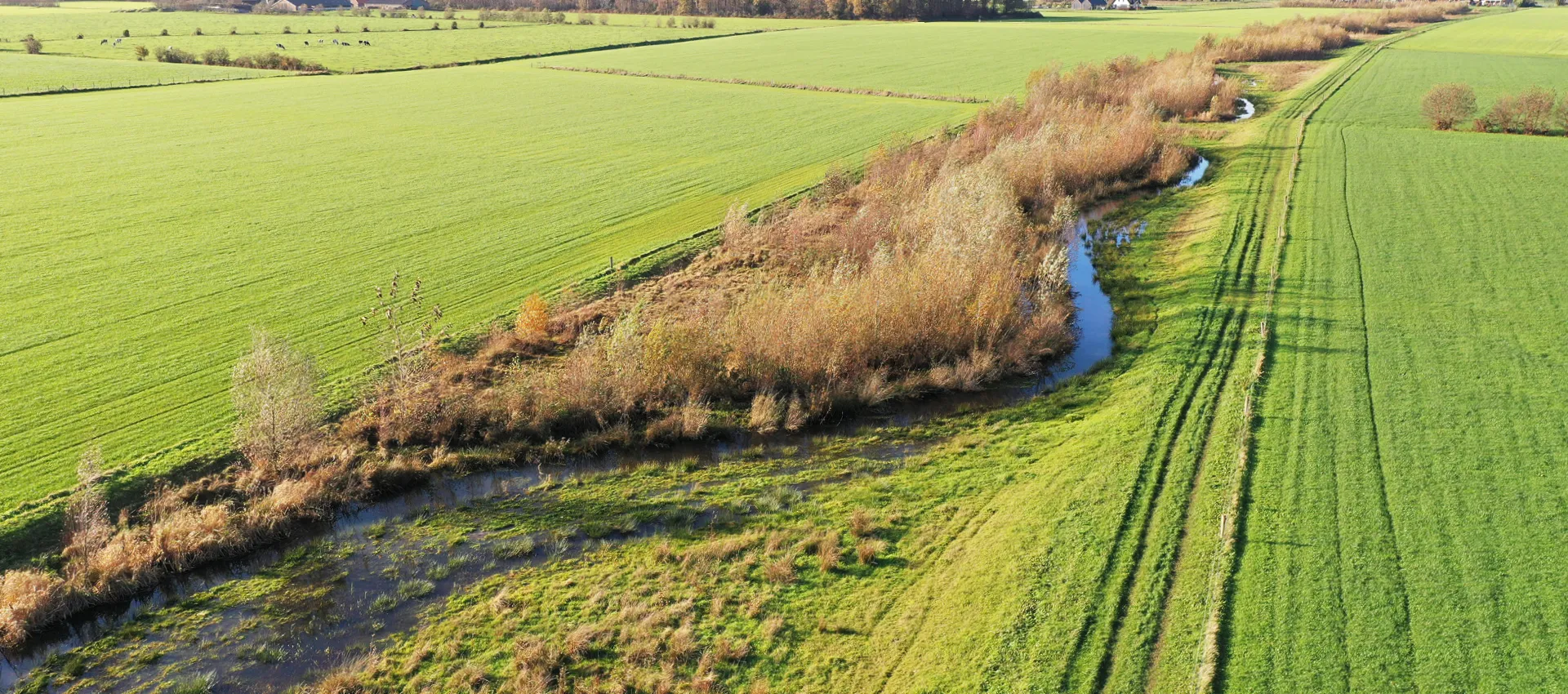 Dronebeeld van watergang door de weilanden