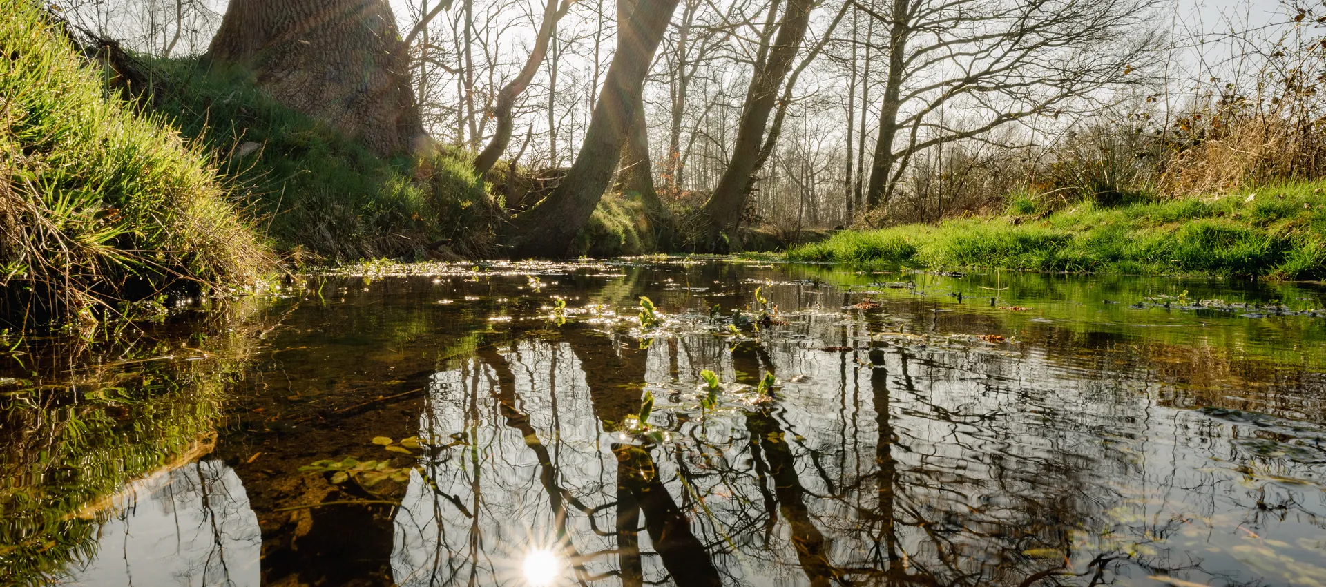 Coverbeeld het jaar 2025