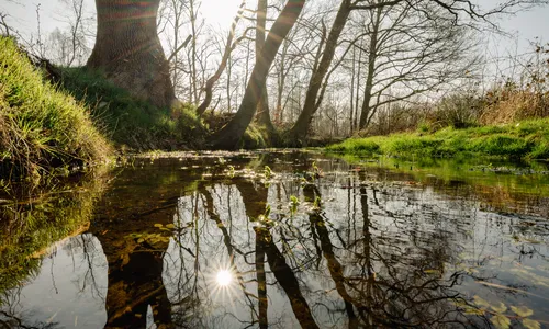 Coverbeeld het jaar 2025