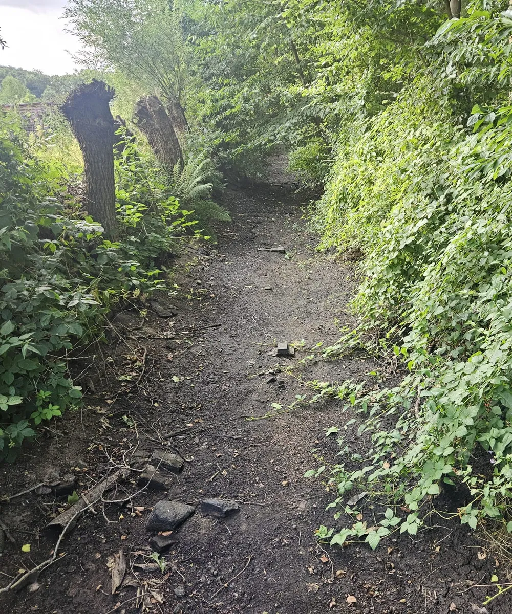 Hierdensebeek Hessenweg - Vuurkuilweg Hulshorst2