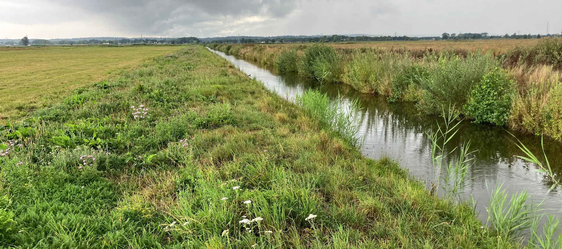 Valleikanaal binnenveldse hooilanden