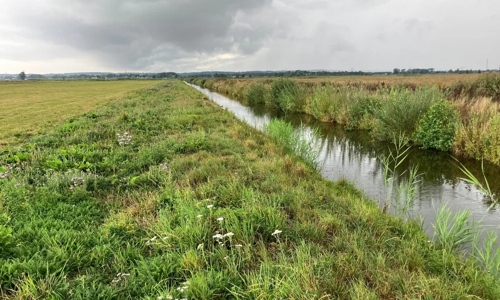 Valleikanaal binnenveldse hooilanden