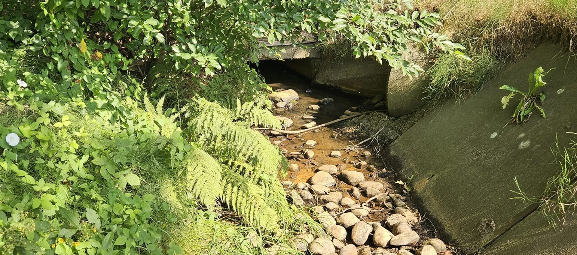 Veldbeek Bussenweg Putten