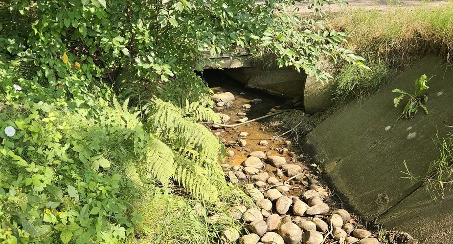 Veldbeek aan de Bussenweg in Putten