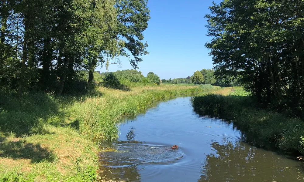 Voorsterbeek