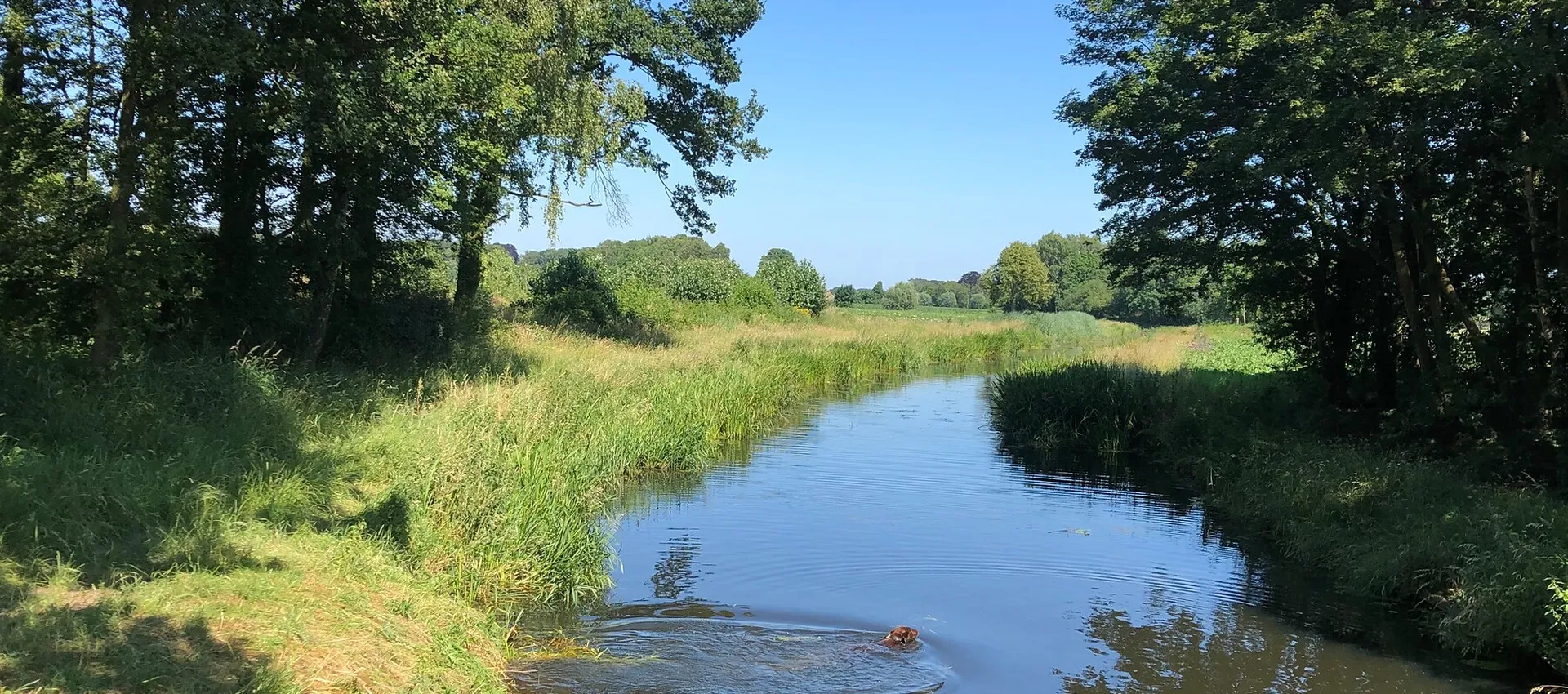 Voorsterbeek