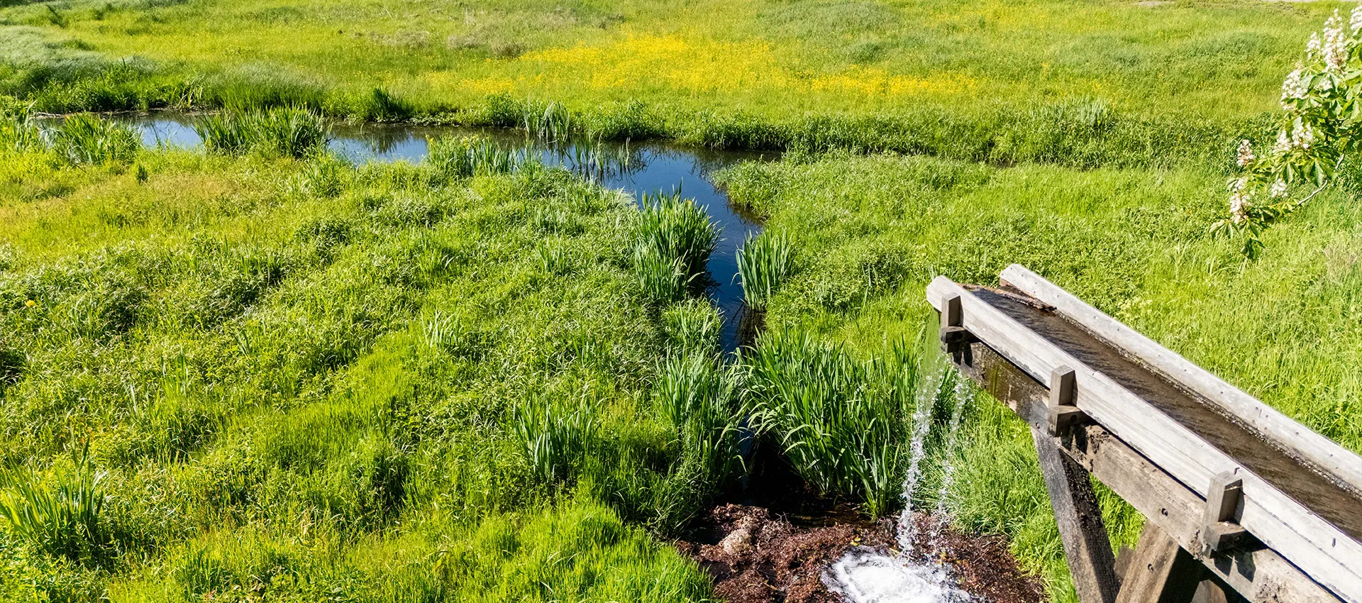 Waterschap vallei en veluwe