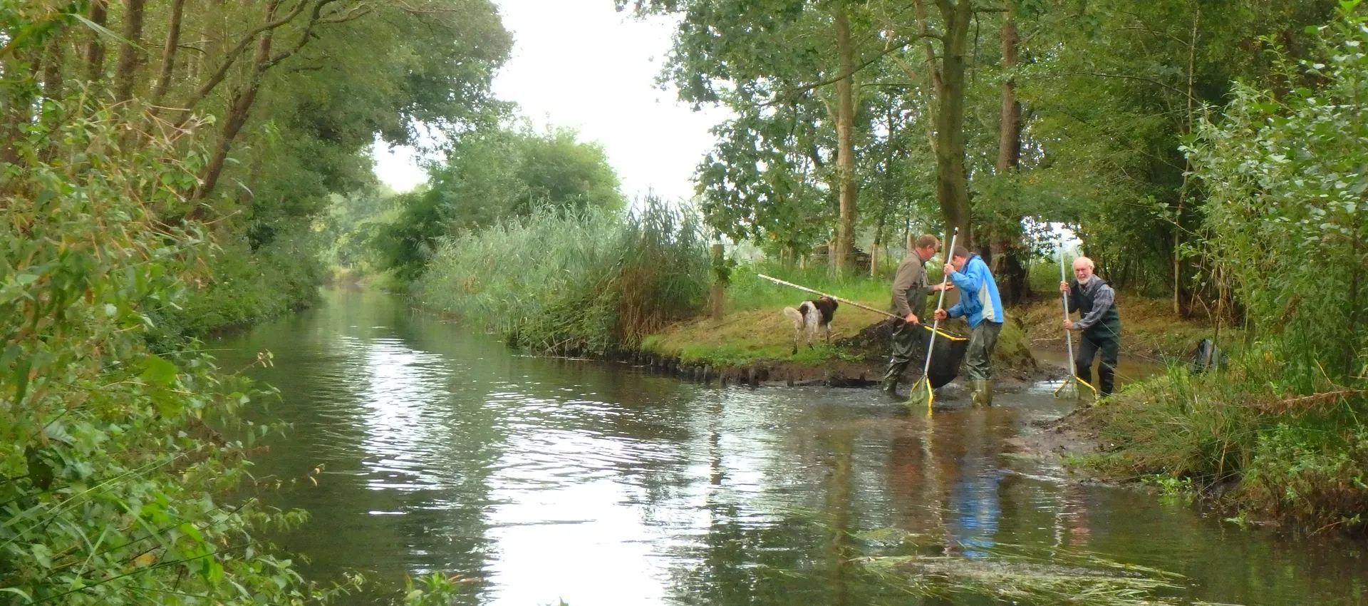 Vrijwilligers beekwerkgroep De Prik in Horsthoekerbeek