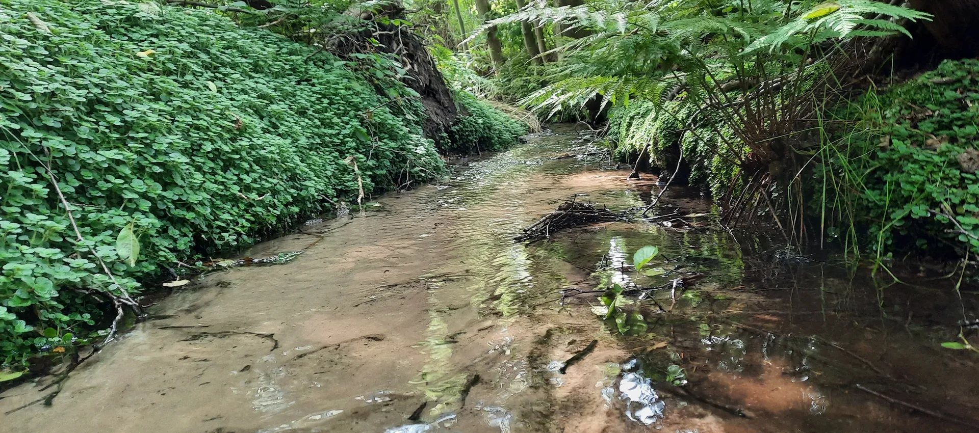 Oude beek in Beekbergen