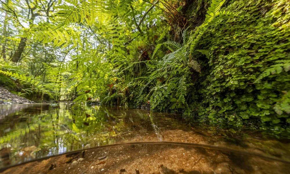 Eerbeeksebeek Boshoffweg