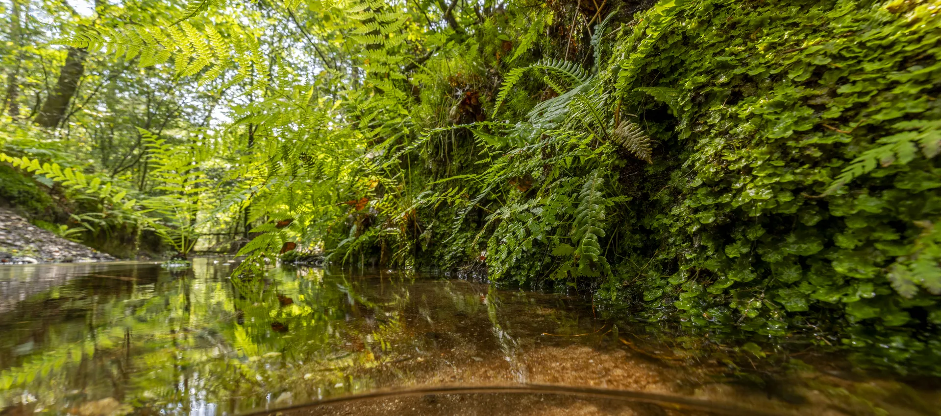 Eerbeeksebeek Boshoffweg