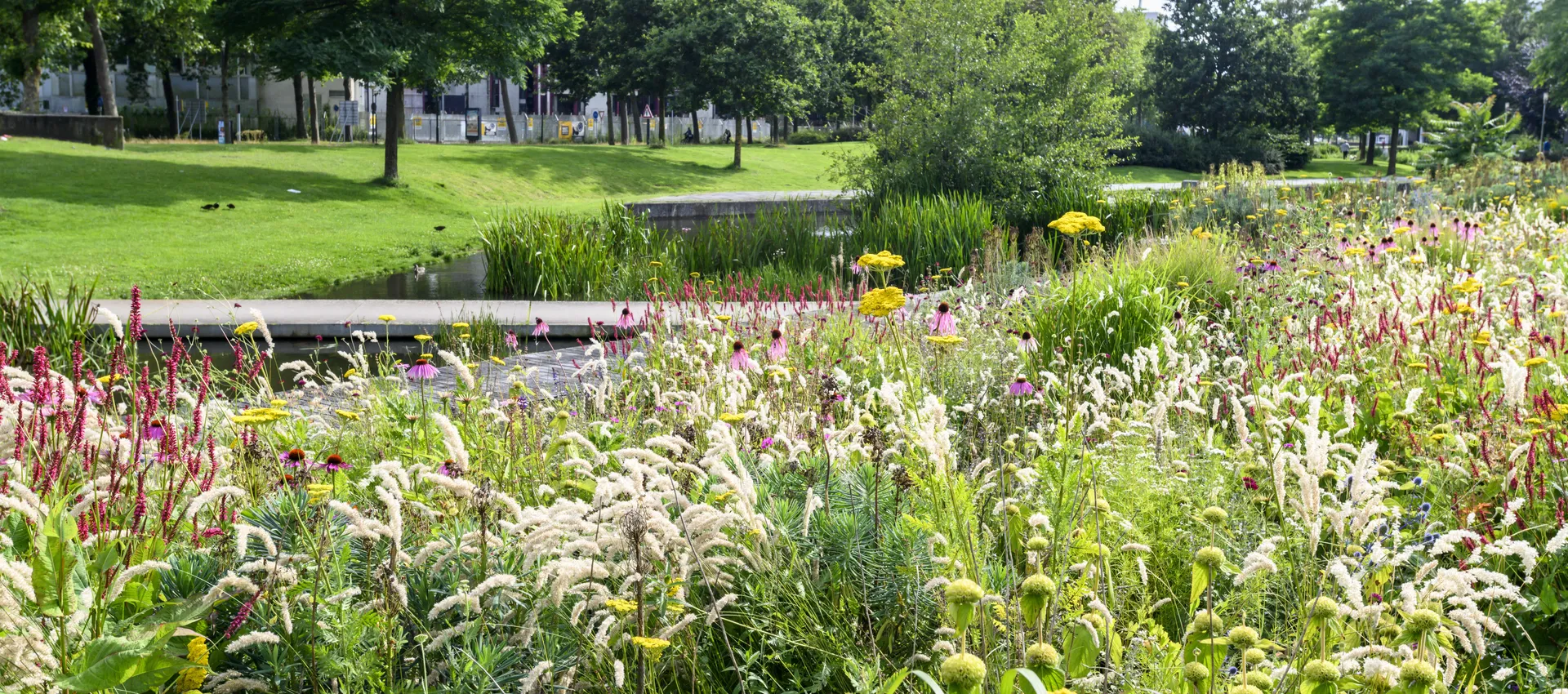 De Grift in het Amaliapark in Apeldoorn