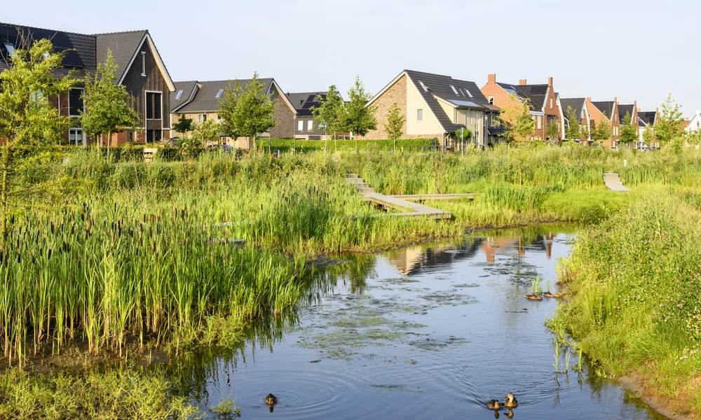 Natuurvriendelijke oevers langs de Dammersbeek in de wijk Doornsteeg in Nijkerk. Met in de achtergrond de vlonder.