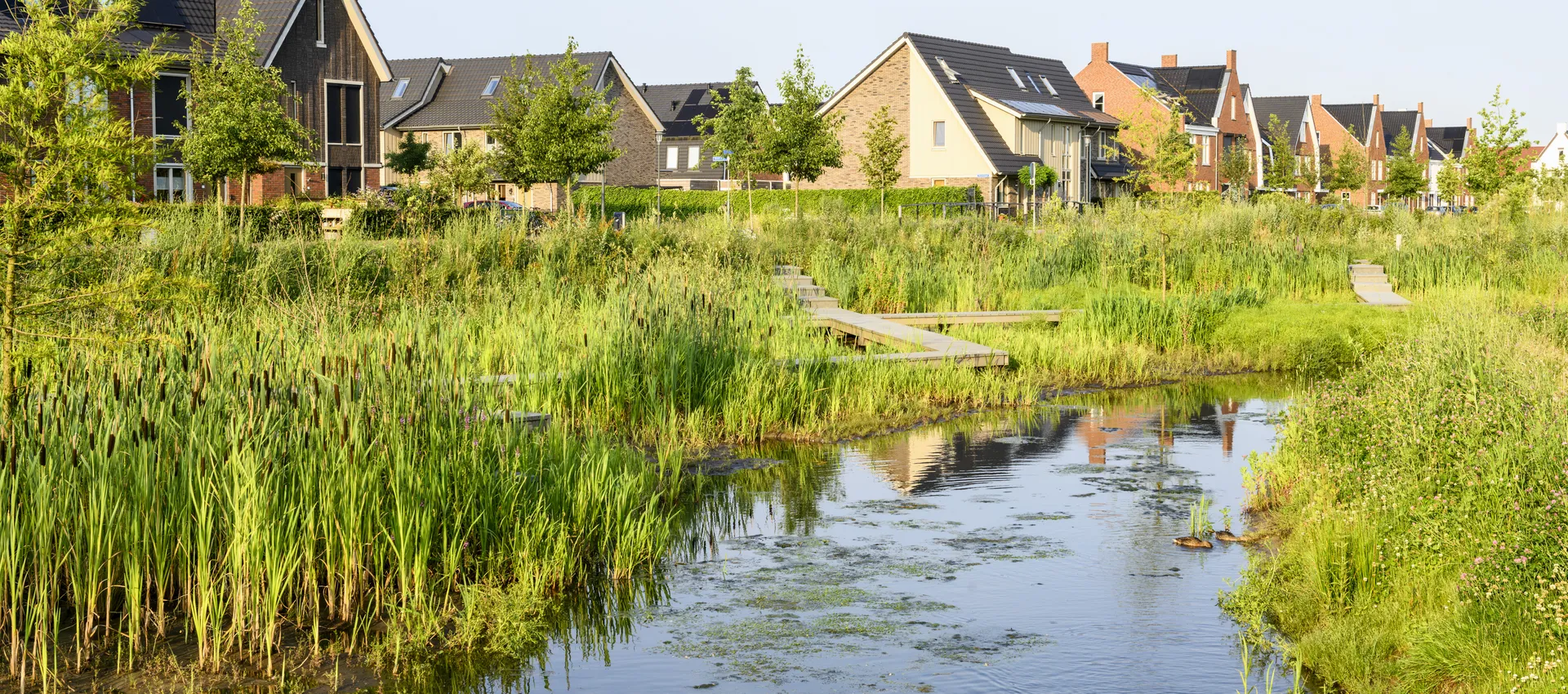 Natuurvriendelijke oevers langs de Dammersbeek in de wijk Doornsteeg in Nijkerk. Met in de achtergrond de vlonder.
