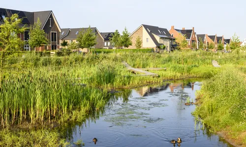 Natuurvriendelijke oevers langs de Dammersbeek in de wijk Doornsteeg in Nijkerk. Met in de achtergrond de vlonder.