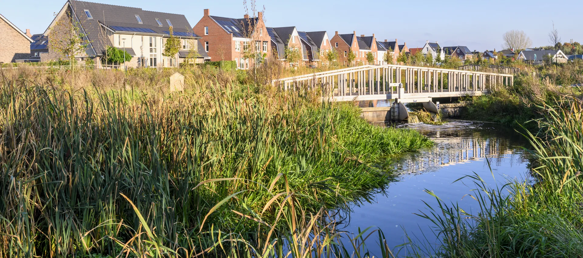 Dammersbeek in Nijkerk