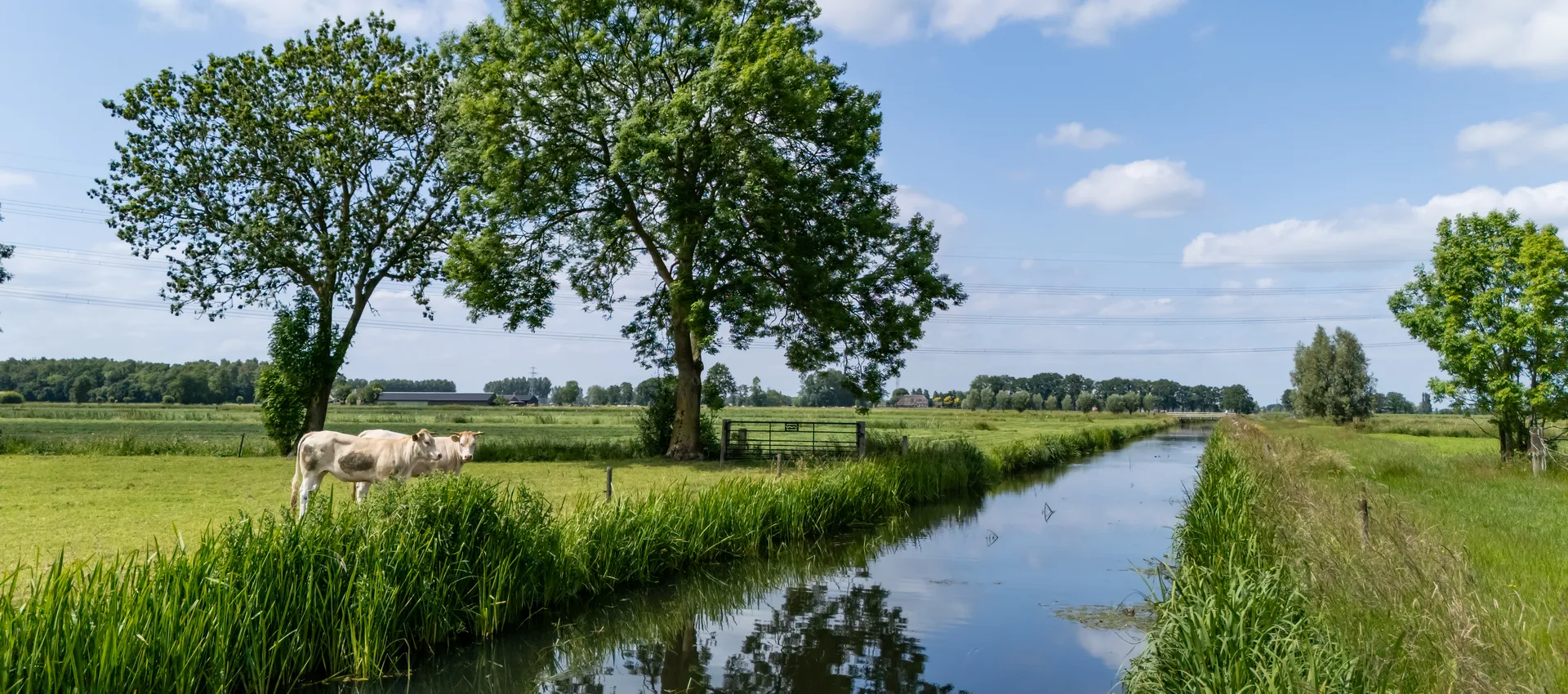 Nijkbroekse Wetering
