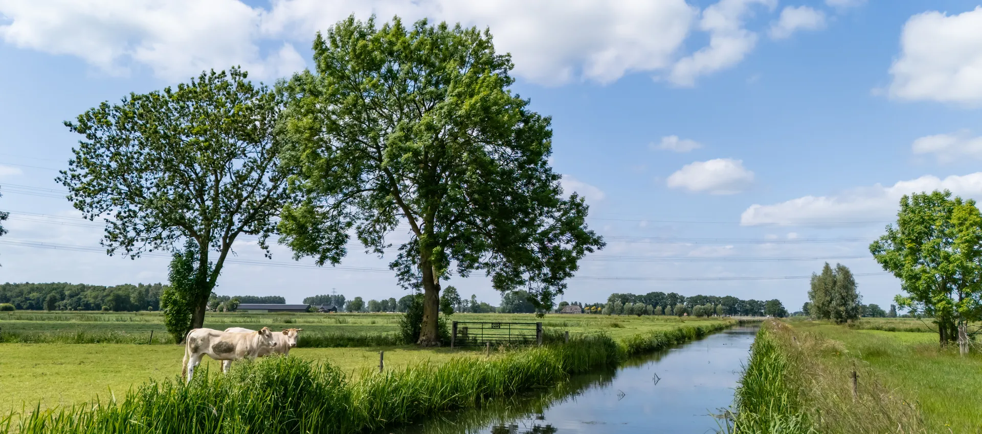Nijkbroekse Wetering