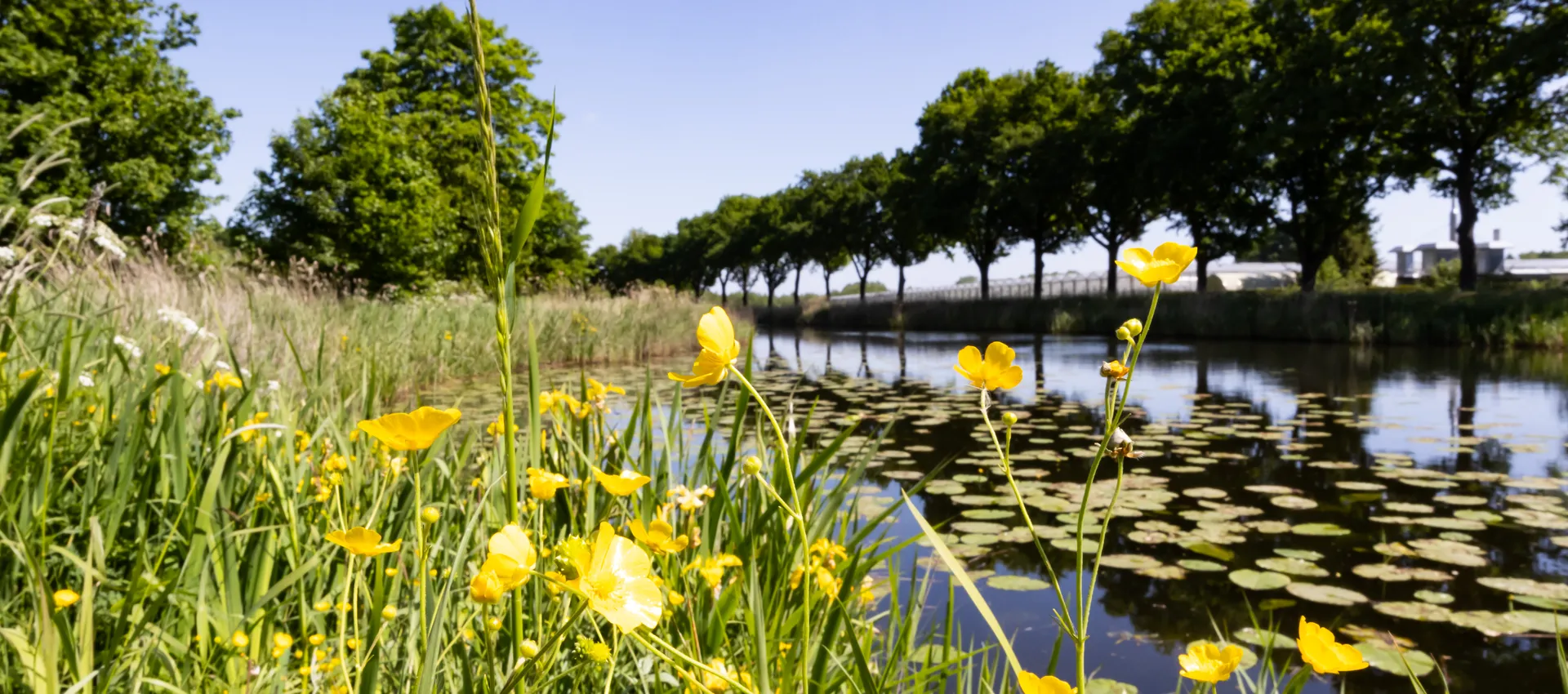Apeldoorns kanaal bij Heerde