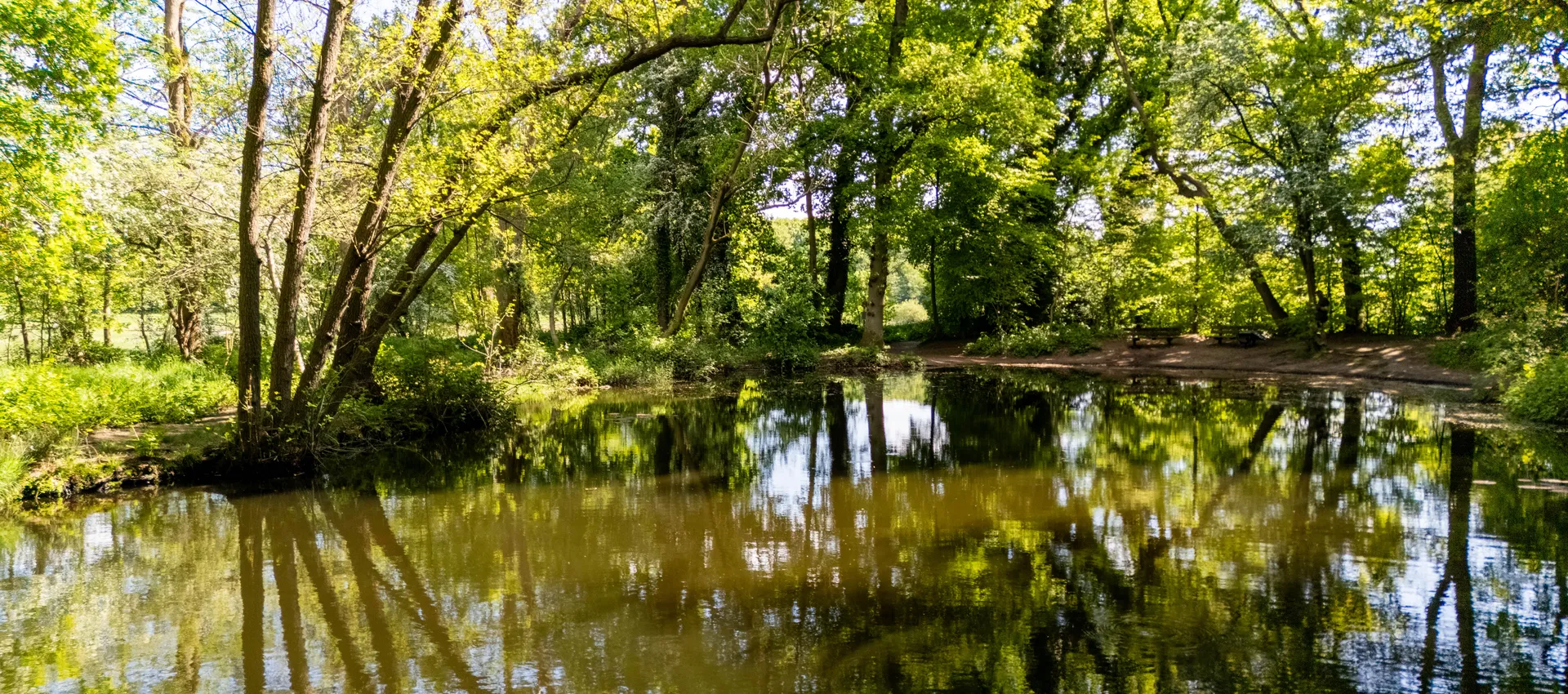 Oliemolenbeek Renkum