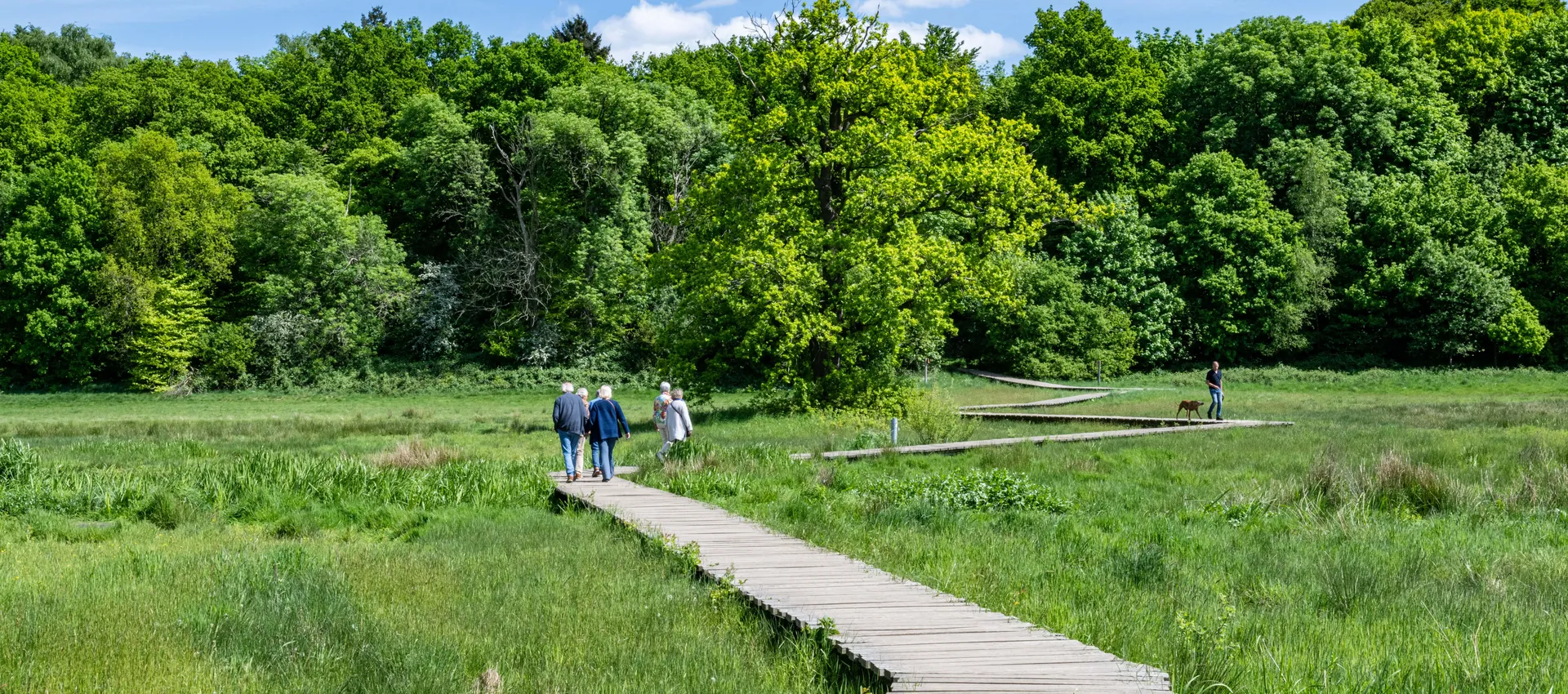 Halveradsbeek Renkum