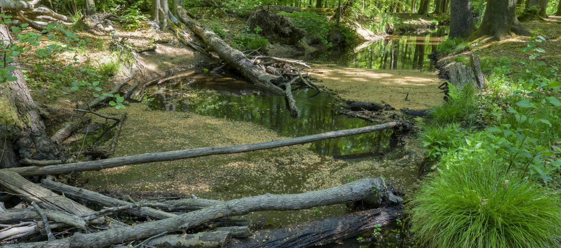 Hierdensche Beek