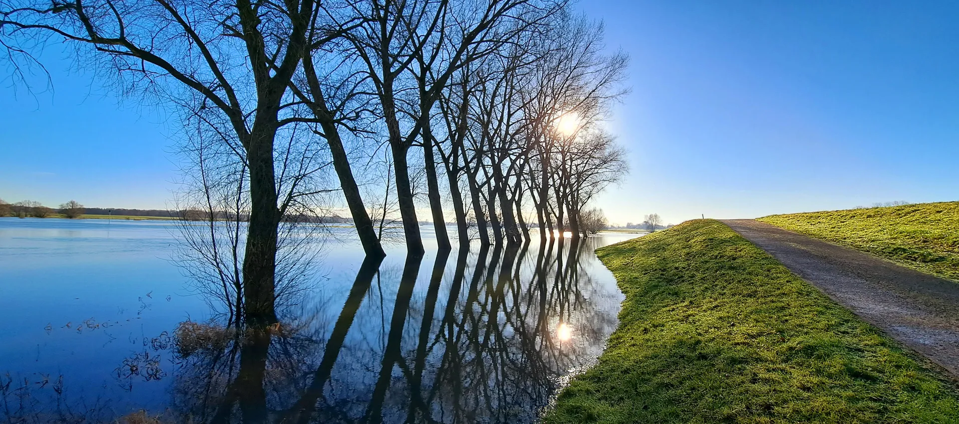 hoge waterstanden bij Hoenwaard Hattem