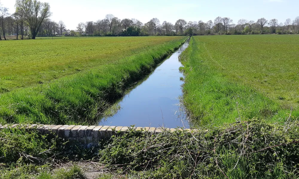 Munnikebeek