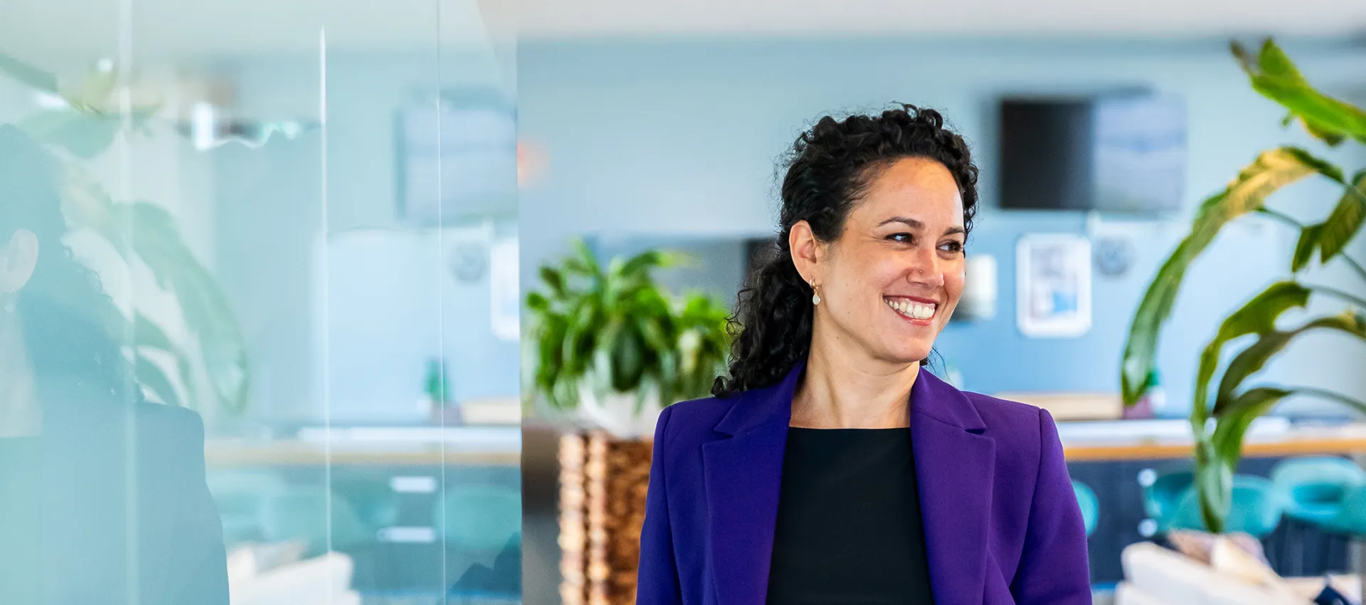 sollicitatieprocedure