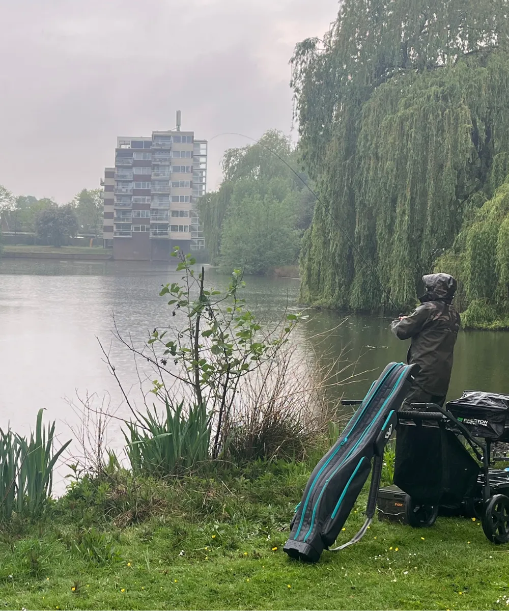 vissen in de regen in vijver Apeldoorn